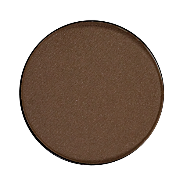 Одинарні тіні для повік Quiz Color Focus матові та перламутрові, 170 matte шоколад QZ 8346 фото