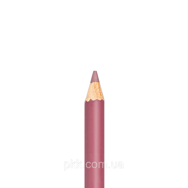 Карандаш для губ Bogenia Lip Liner BG500 № 023 Chestnut Autumn BG500 фото