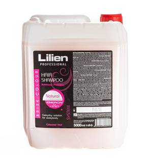Шампунь для окрашенных волос Lilien Professional Brisk Color канистра 5 л 5993PS фото