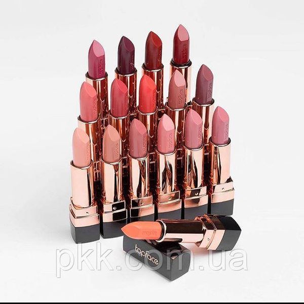 Помада для губ кремовая TopFace Creamy Lipstick Instyle, 002 Cream Caramel Коричнево-розовая PT156 фото