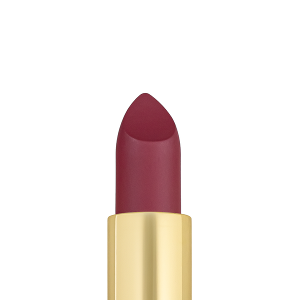 Помада для губ матовая topface PRO HD Soft Matte Lipstick PT158, 022 Idol/Насыщенная бордовая PT158 фото