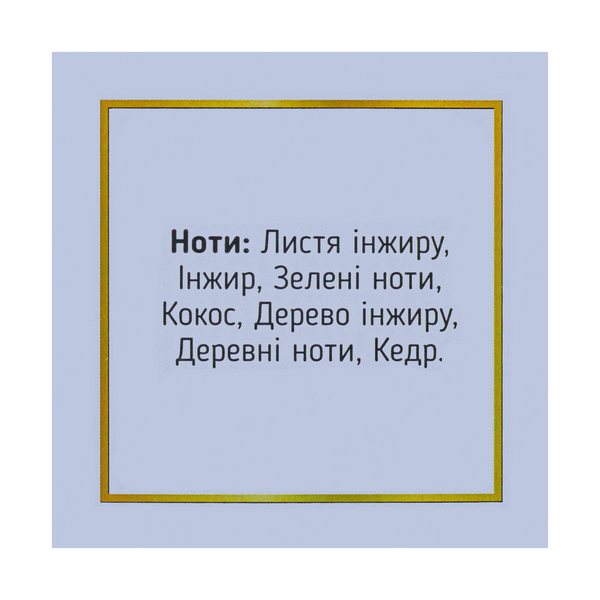 Аромадиффузор для дома парфюмированный Top Beauty "Инжир" 100 мл TB-10359 фото